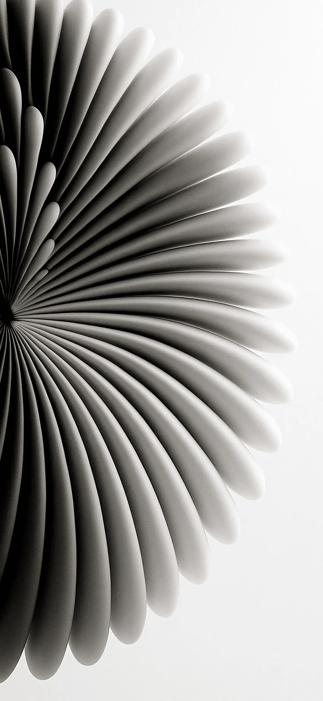 Black and white abstraction