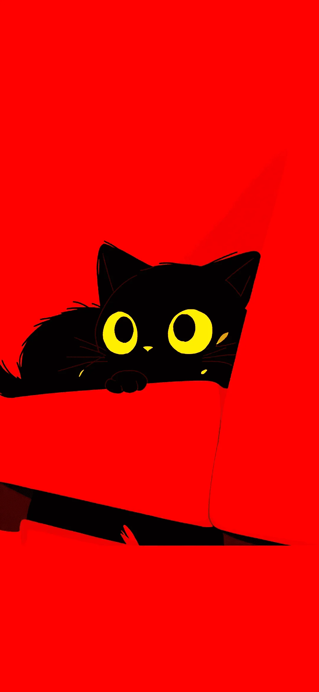 Black cat on red background
