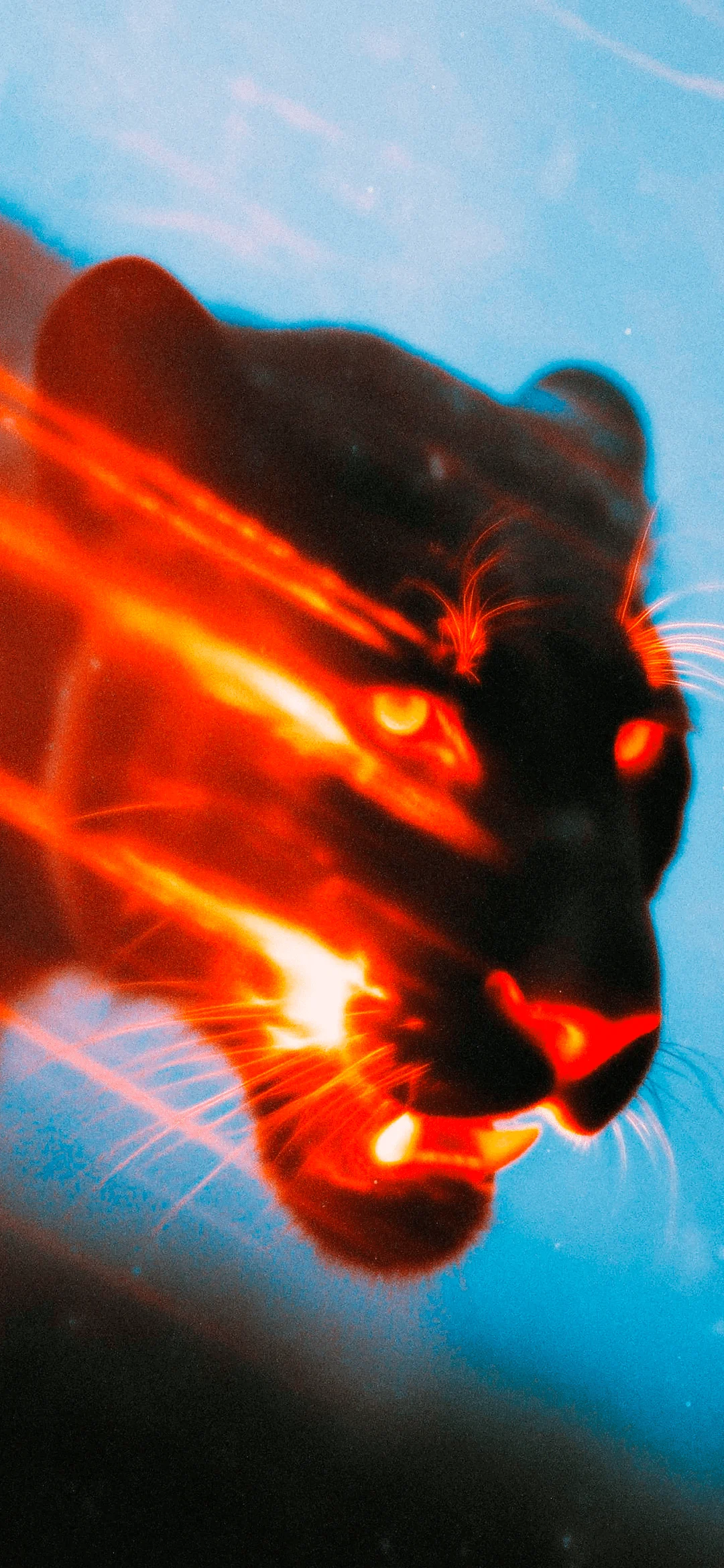 Fire Tiger wallpapers