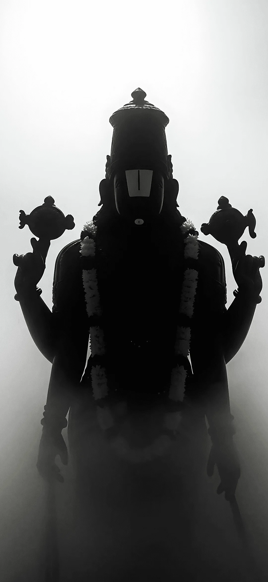 Lord Narayana divine Hindu God wallpaper in high resolution