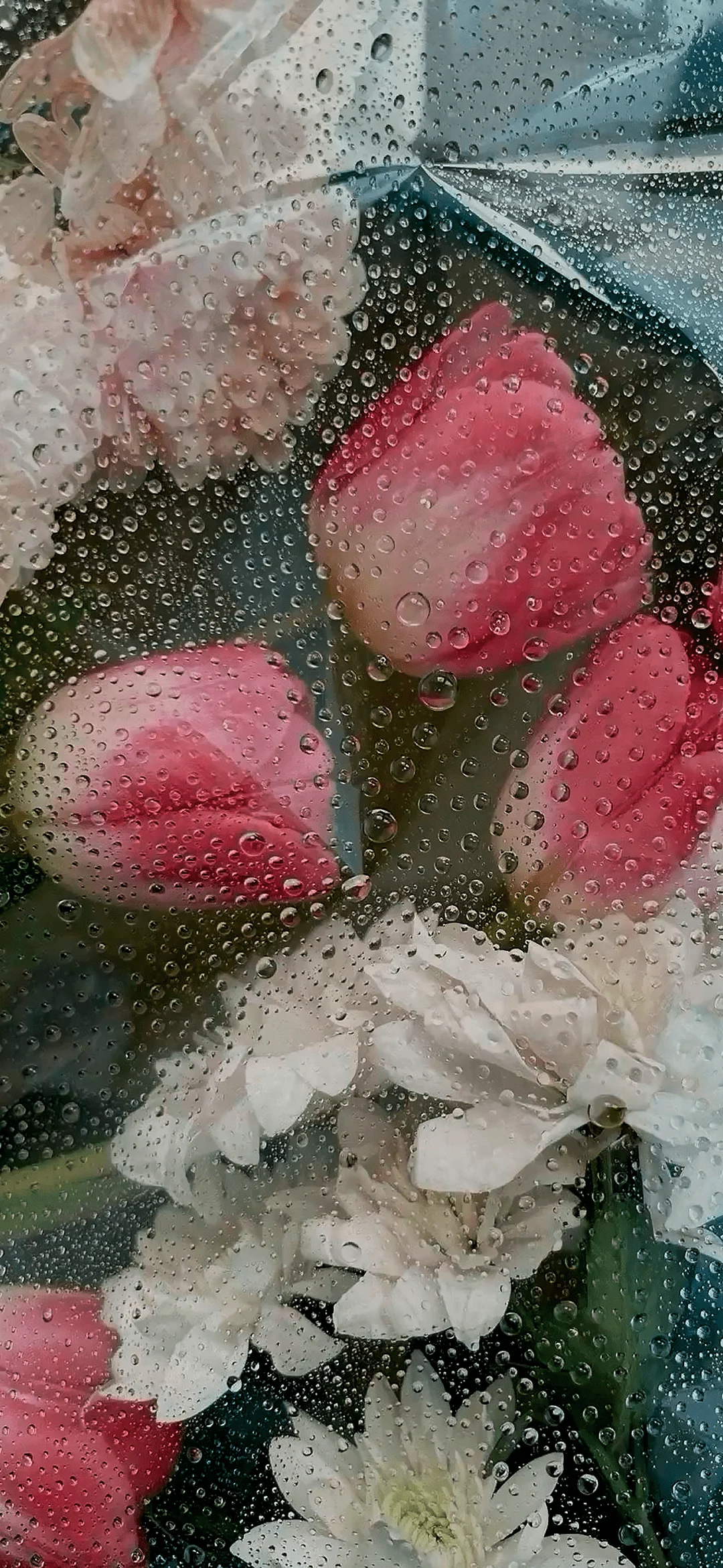 Flowers under glass wallpapers hd