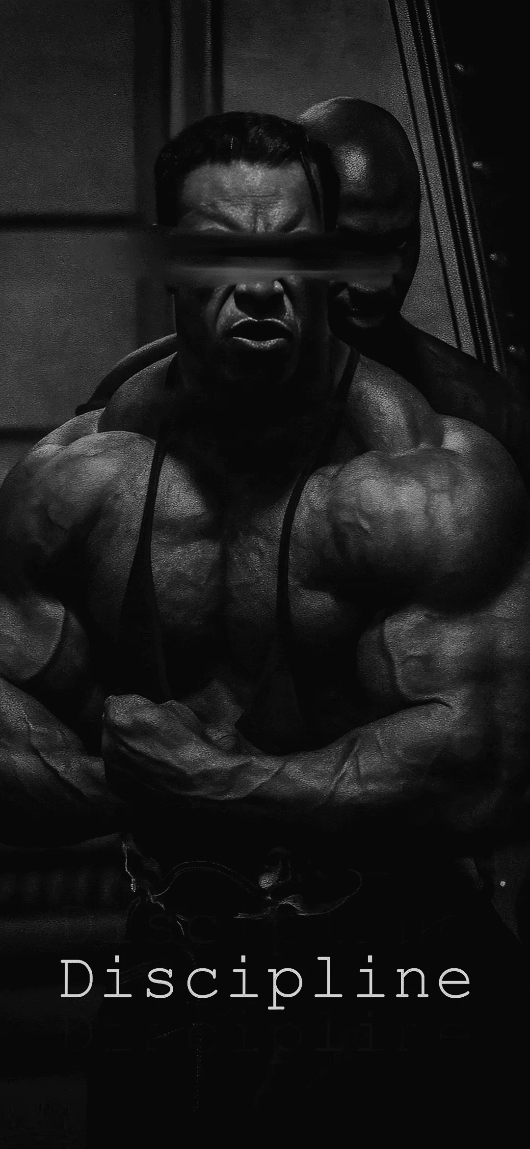 Go to gym wallpapers, sport wallpapers