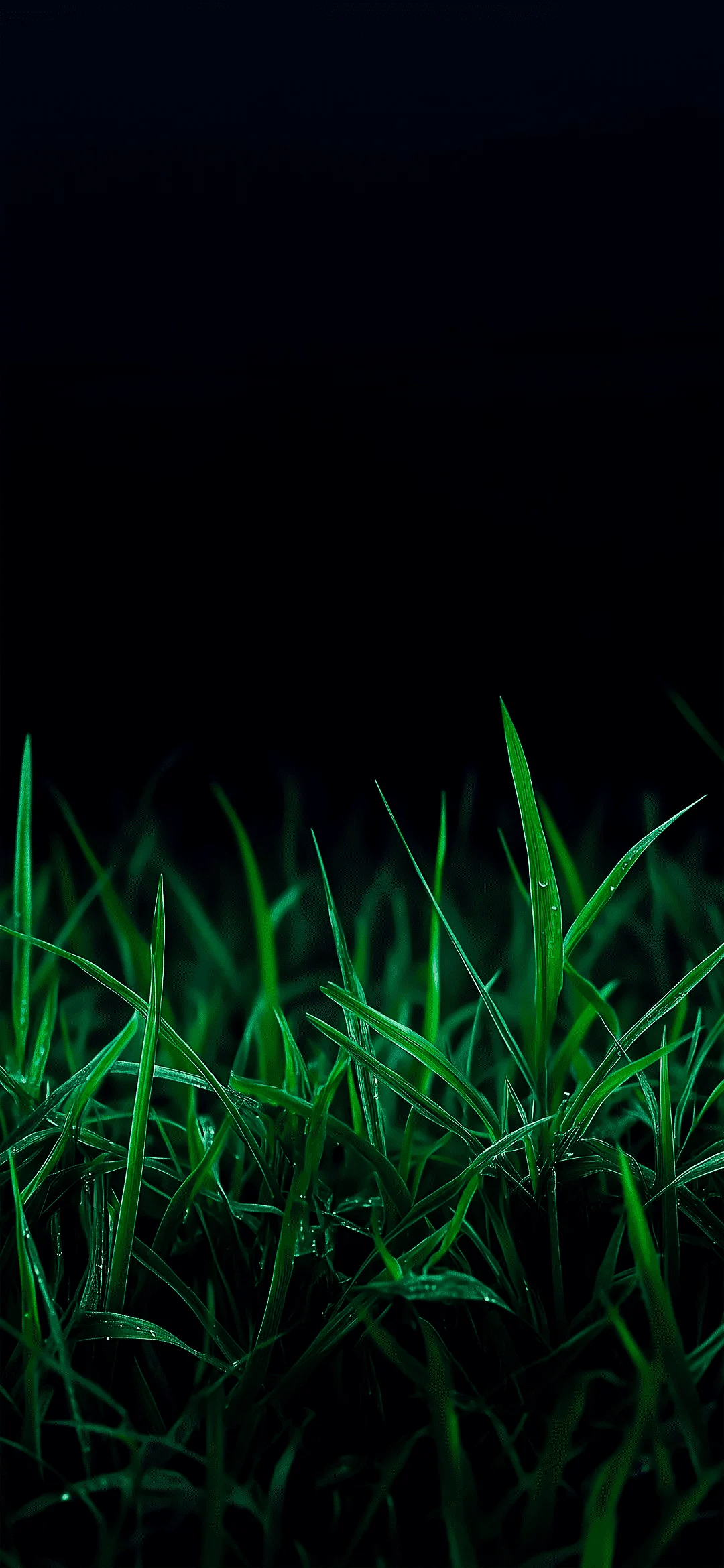 grass wallpaper hd – nature botanical green background