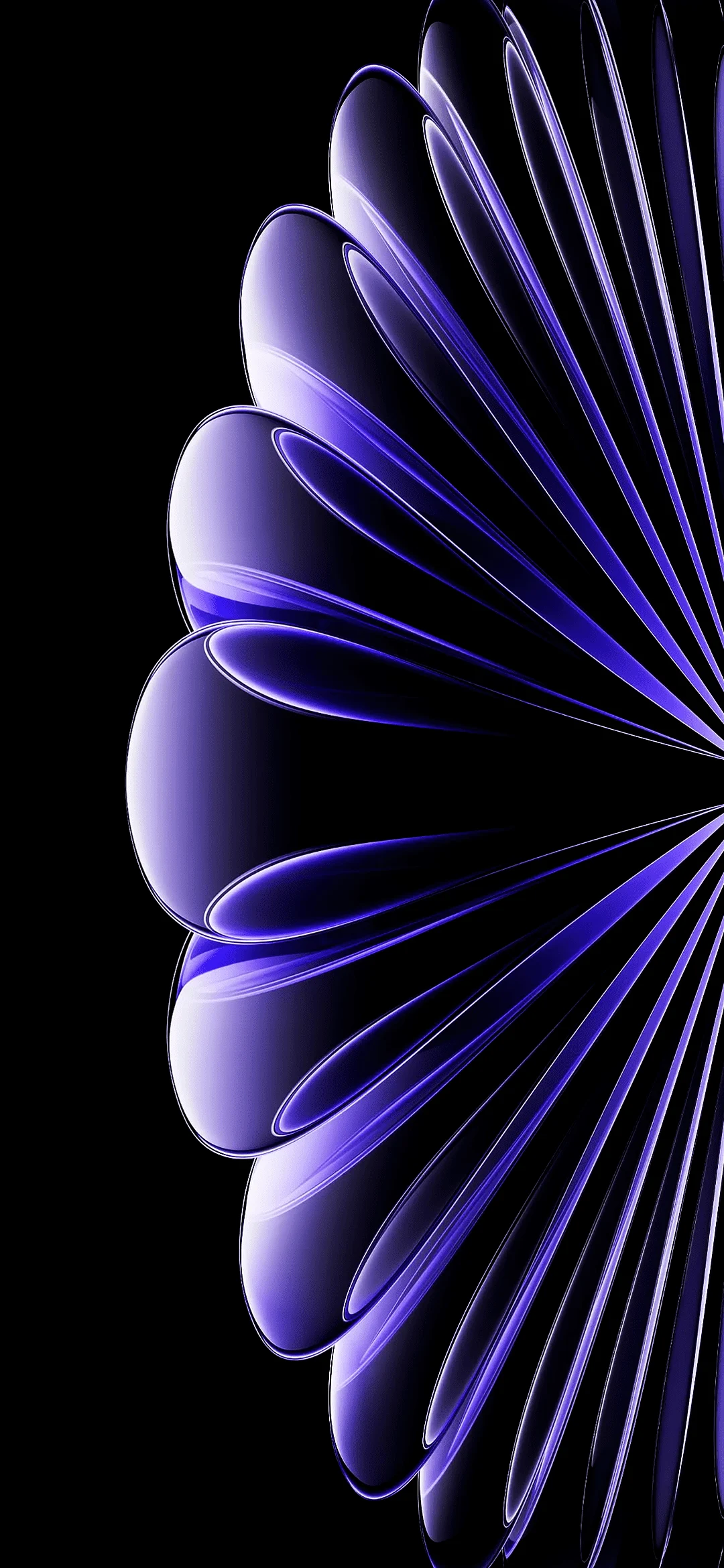 Single purple flower with lush petals and soft lighting on a natural background