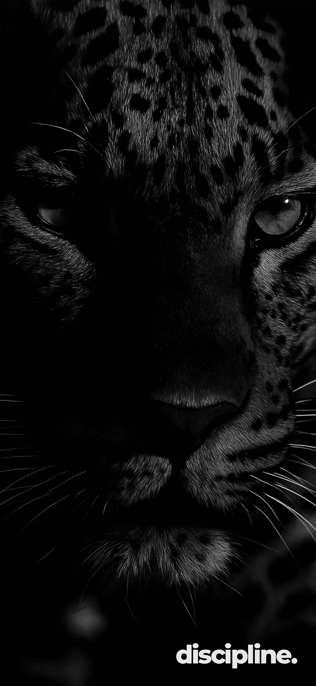 Discipline motivate tiger wallpaper