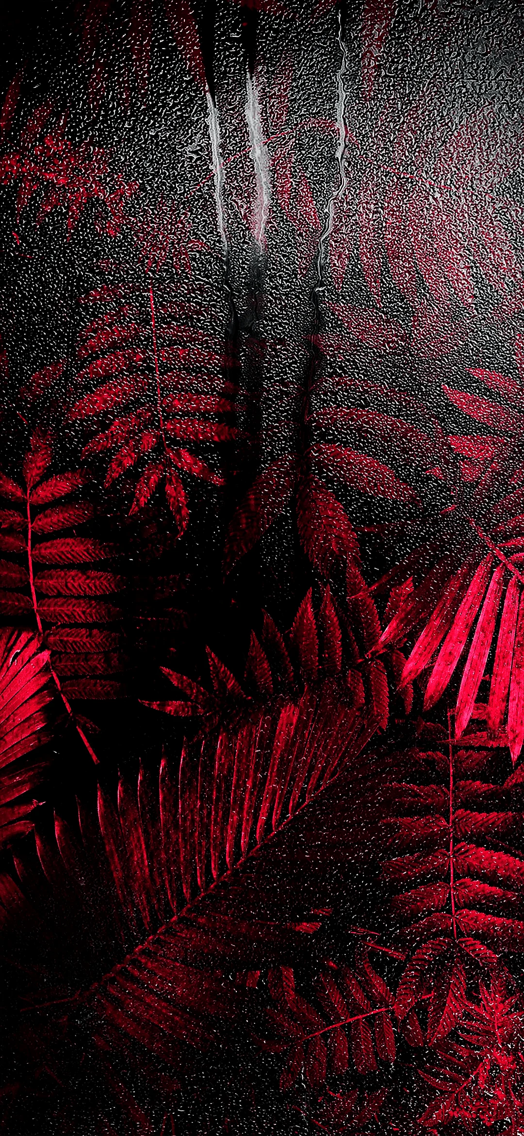 Red leaves with drops of water wallpaper for Iphone 17 Pro