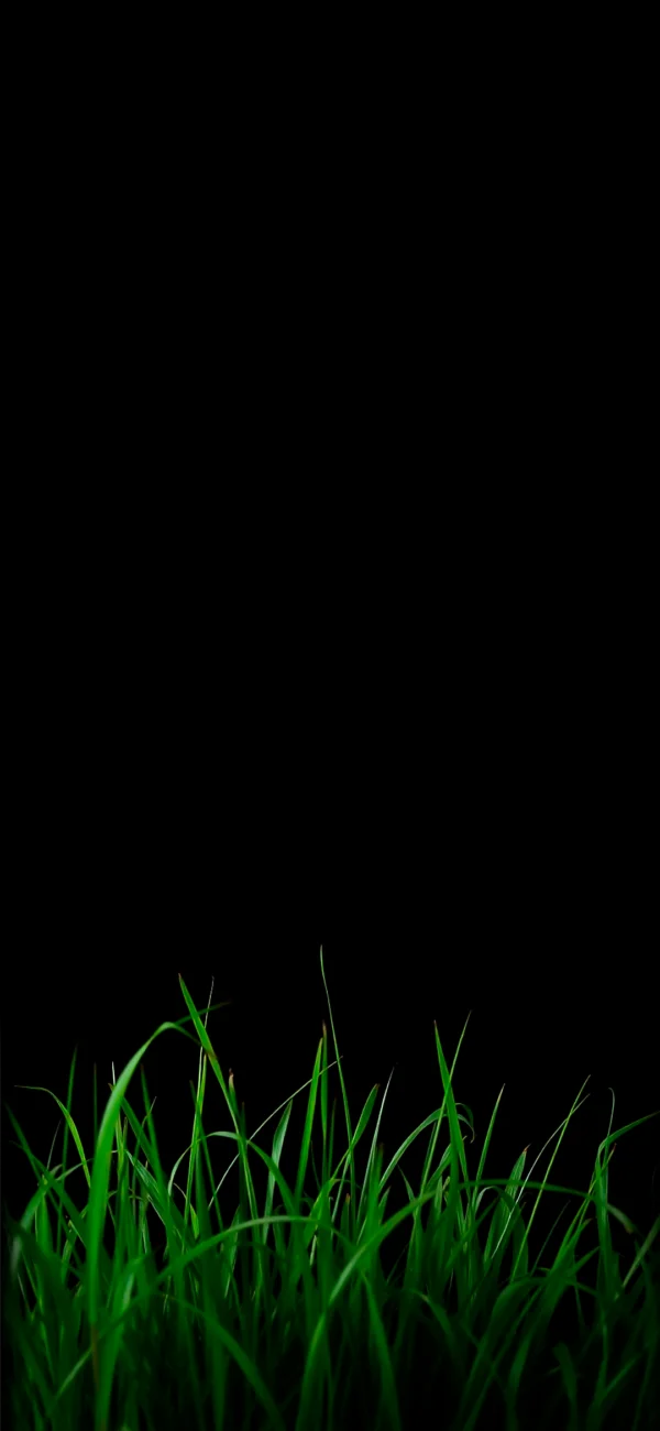 Green grass with black background wallpaper hd