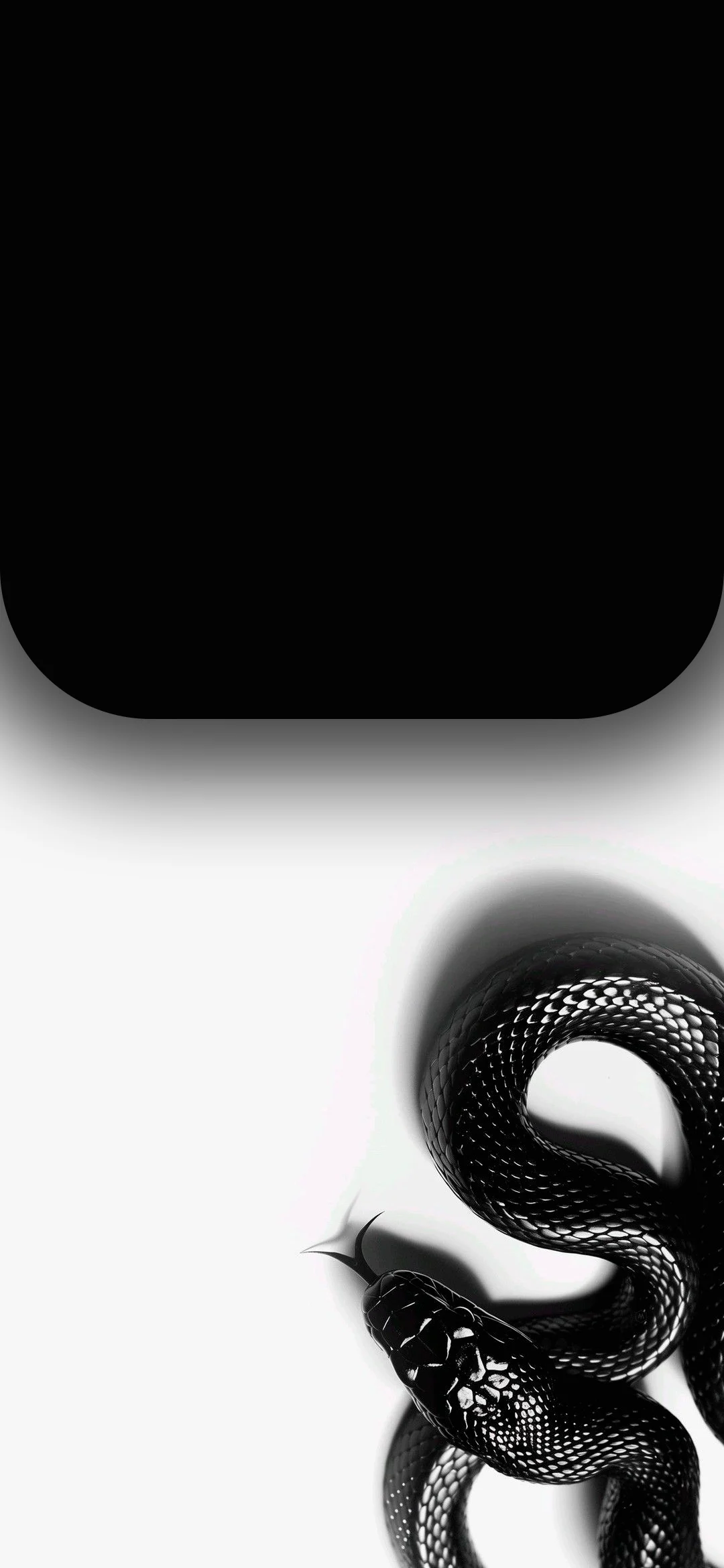 4K Black Snake Wallpaper HD 2340x1080