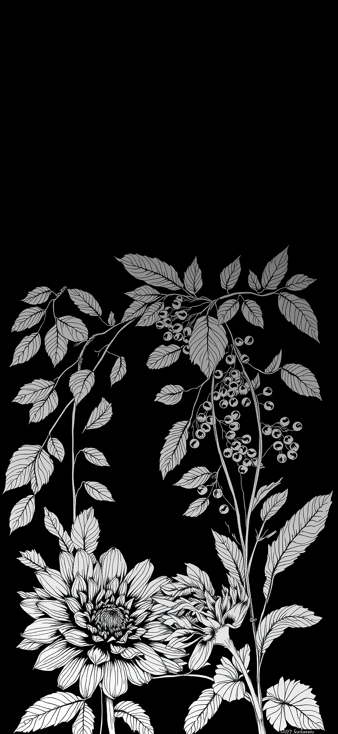 4K White chrysanthemum flower in the lower left corner wallpaper HD 2340x1080